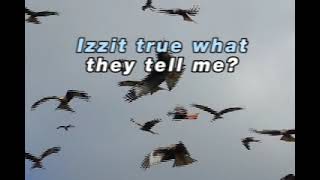 Ramona Lisa - Izzit True What They Tell Me 「Karaoke」