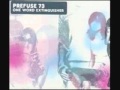 Prefuse 73 - Southerners (interlude) + Perverted Undertone