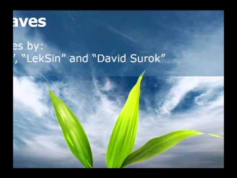 Lafale - New leaves (David Surok Remix) - PREVIEW
