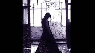 Magia de amor  Conde drácula 🧛🧛🧛 Raul Seixas 🎶🎸🎤