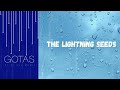 THE LIGHTNING SEEDS - Walk Another Mile