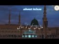 HAALE A DIL KIS KO SONAYE APKE HOTE HOYE Princesaifi R4v New Naat