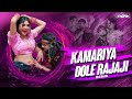 Kamariya Dole Remix Xylo Rik Neelkamalsingh Kamariya Gole Gole Raja Ji Bhojpuri Remix