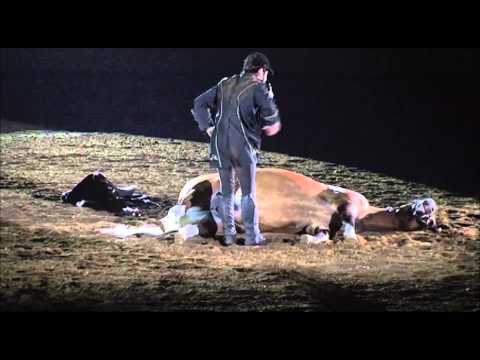 Tommie Turvey and Polker Joe's performance at Breyerfest 2014