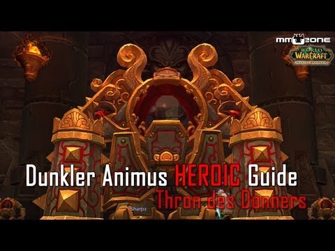 Dark Animus (25) HEROIC Guide - Throne of Thunder