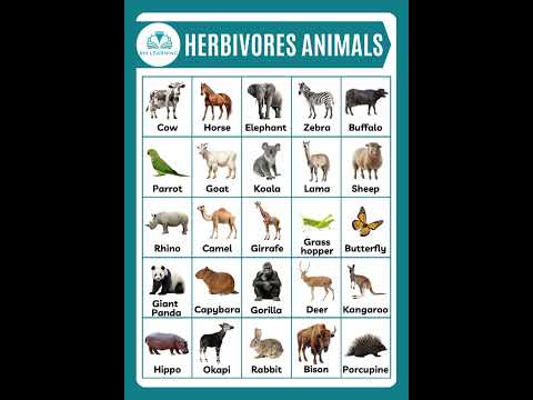 Herbivores Animals Name #herbivoresanimals #animals #animalsvocabulary #shortsfeed