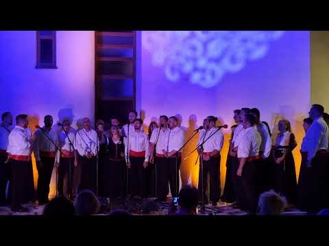 11.08.2021. SUSRET KLAPA U PODSTRANU, SVE KLAPE ZAJEDNO