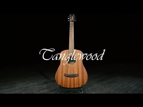 Tanglewood  TW-2T Acoustic Guitar - Mahogany w\Gig Bag image 19