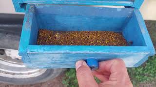 Download lagu viable bees raised since January collect pollen mp3 Download lagu viable bees raised since January collect pollen mp3