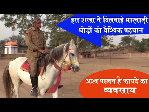 Marwadi Horse | Raghvendra Singh Dundlod (Dundlod)