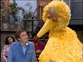 The Loss Of Mr Hooper