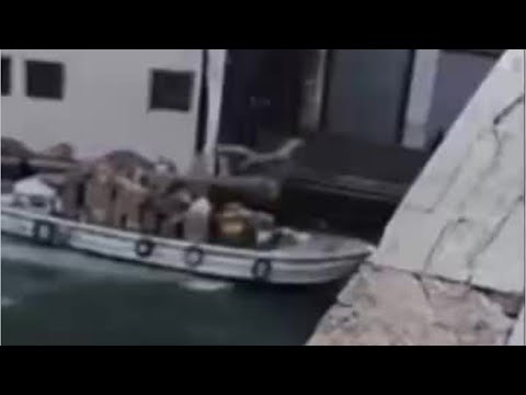 Woman crashes stolen boat into Rialto Bridge in Venice