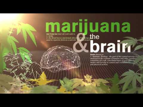 ßɛʑɛ† - Stuff [Saint Madness] (rem. Miller Beatz)