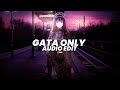 Gata Only Dsvcr Remix Extended Floyymenor Edit Audio