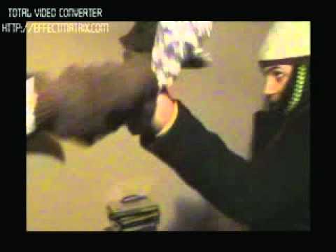 karaköy korsanları