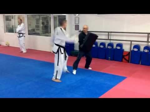 Master Vasilis Alexandris, ITF Taekwon-do - Training with the shield