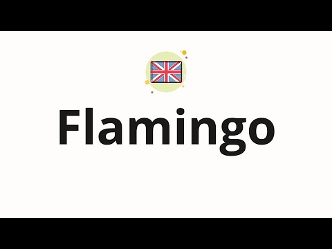 How to pronounce Flamingo