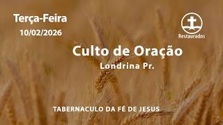 🔴10.02.2026 - Culto de Oração - Tabernáculo da Fé de Jesus - Londrina/PR ᴴᴰ