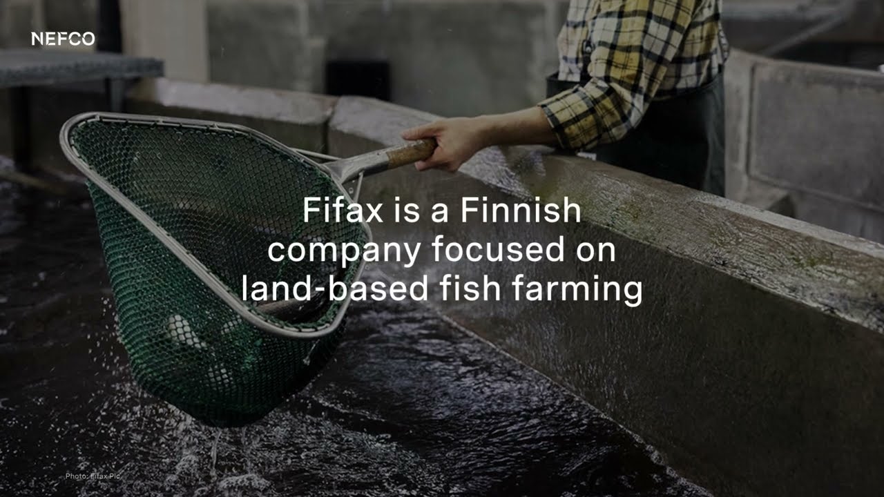 Fifax - large-scale sustainable fish farming