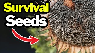 THE Forgotten Skill That Makes Any Gardener Self-Sufficient