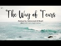 Nasheed Muhammad Al Muqit The Way Of Tears Lyrics Arabic Rom Eng Bahasa