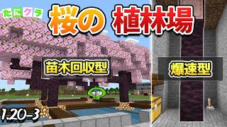 【1.20】簡単すぎて効率のいい桜の植林場の作り方3種類！【たにクラ1.20アプデ編3】