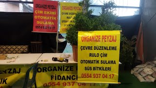 ORGANİZE PEYZAJ-05537905892
