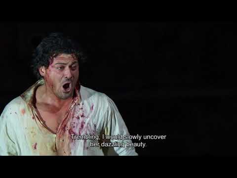 TOSCA - Extrait Vittorio Grigolo, E lucevan le stelle