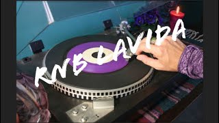 2 Play ft.  Raghav - Seasons Change