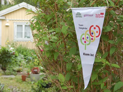 Trädgårdsfrossa med Gunnel Carlson inför Tusen Trädgårdar