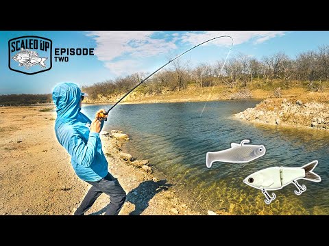 Fishing BIG Swimbaits For ANGRY Pond Bass! ("Scaled Up" Ep. 2)