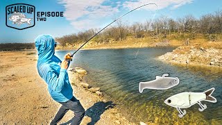 Fishing BIG Swimbaits For ANGRY Pond Bass! ("Scaled Up" Ep. 2)