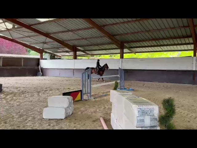 Jument 5 ans gros potentiel 
