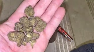 BUBBLEGUM STRAIN REVIEW 
