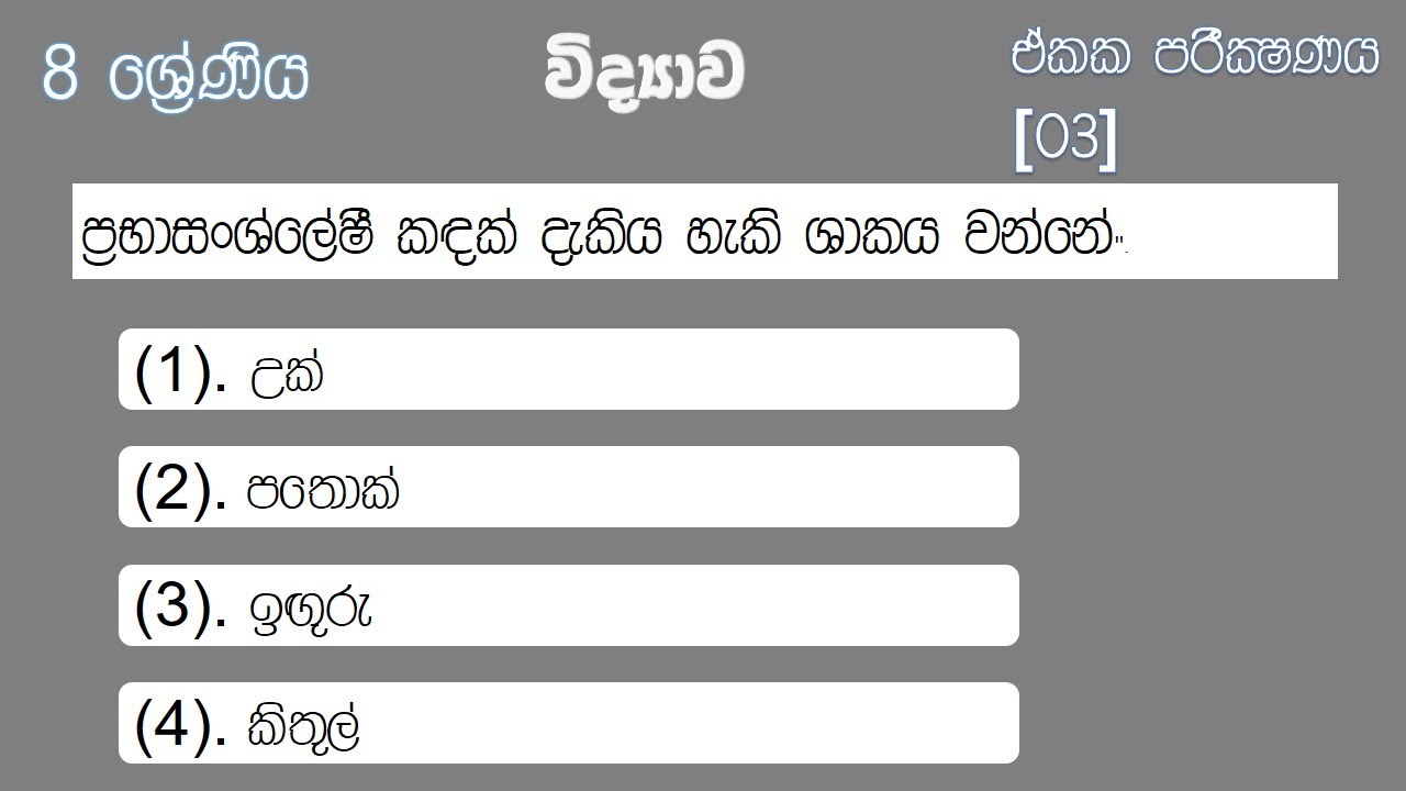 Grade 8 Science unit test [03] with answers