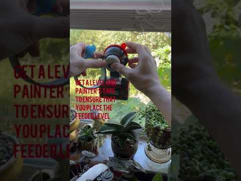 HHXRISE Acrylic Window Bird Feeder: Assembly-Install-Initial thoughts+Birds!