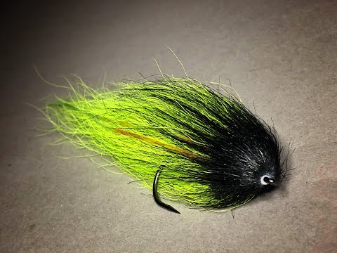 Haukiperhon pullean pään sidonnasta