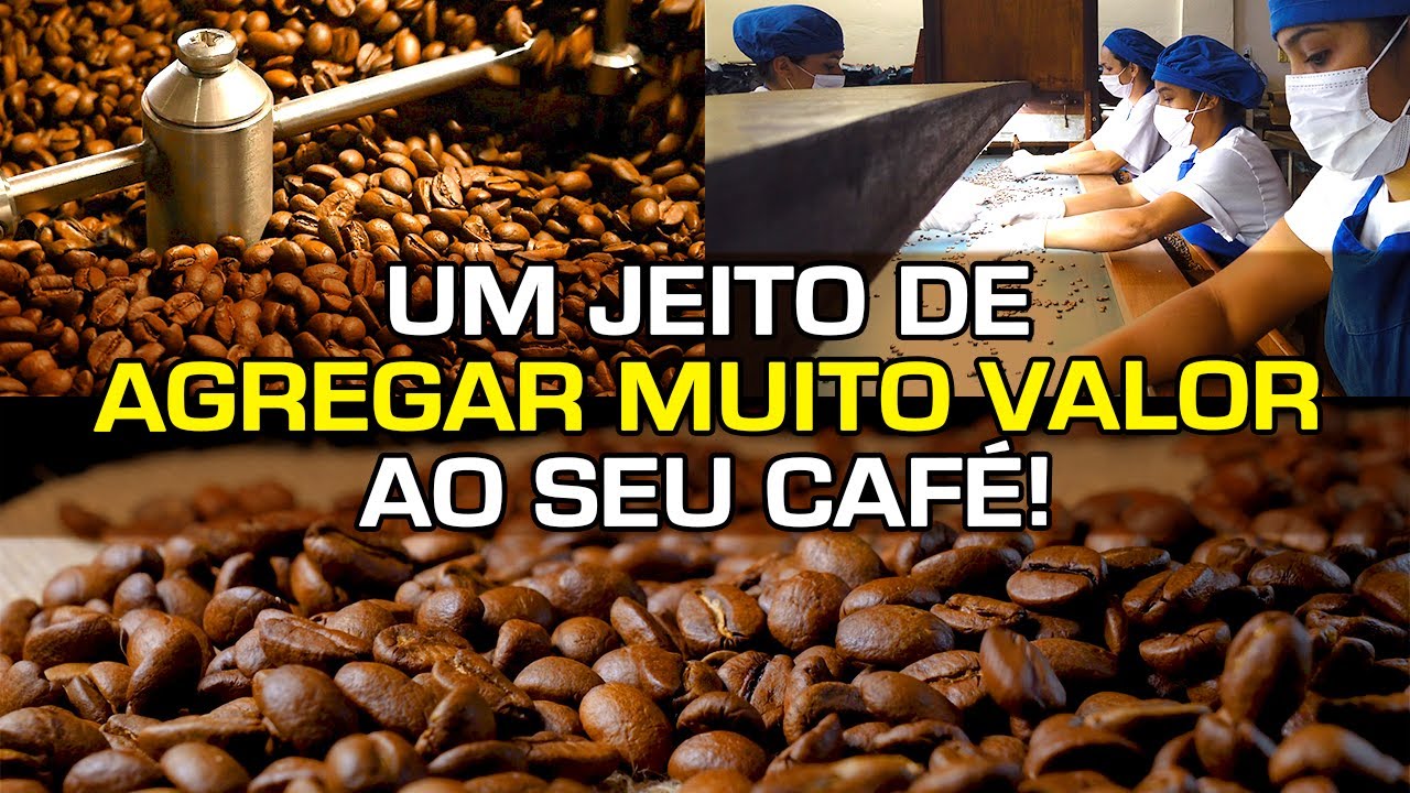 Torrefação na Fazenda! Veja os Caminhos para o Negócio Dar Certo! | No Pé do Café