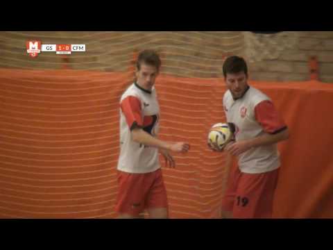 Samenvatting Groene Ster 2 - CFM/Transito 16/17