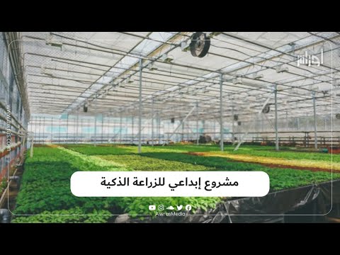 , title : 'زراعة ذكية داخل بيوت بلاستيكية.. مشروع مبتكر طوره شباب جزائريون.. تعرف عليه في هذا الفيديو'
