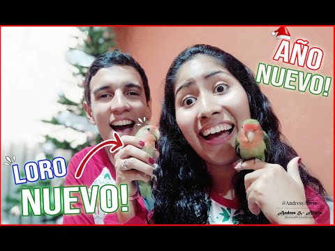 Recibimos el AÑO NUEVO con la REACCIÓN mas TIERNA de TORITO 🐤😍 | VLOGMAS 8 | Andres y Alicia