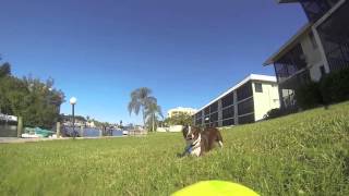 Bootsy and the Beast