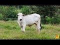 Curso Administração da Pequena Empresa Rural