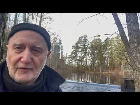 Tikens utlopp i Bräkneån