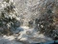 Air of December