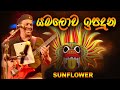 යමලොව ඉපදුන SUNFLOWER