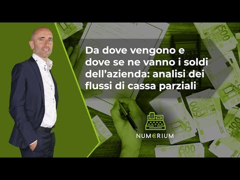 Da dove vengono e dove se ne vanno i soldi dell'azienda: analisi dei flussi di cassa parziali