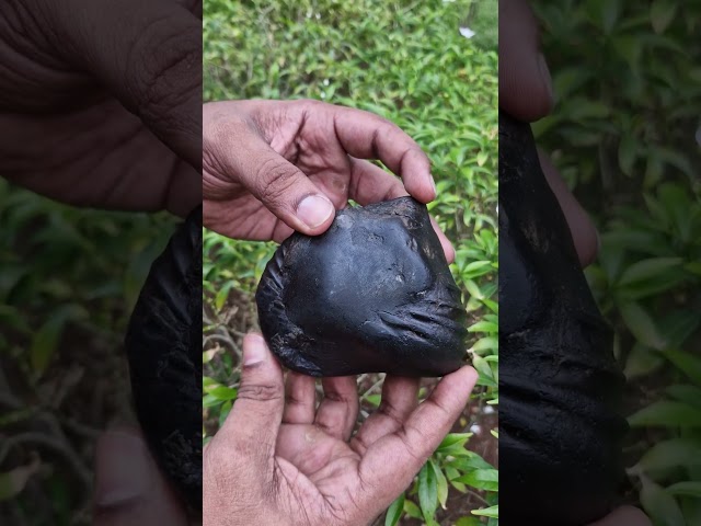 Golden Sudarshan Adwaitya Tejomay Bhanu Suvarchas Suryanarayana Shaligram video