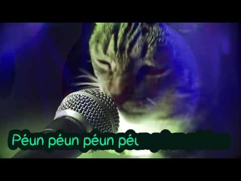 ATR - Russian Cat Party (Lyric video)