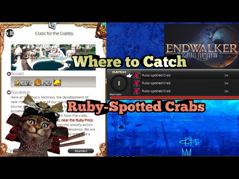 Where to Catch Ruby Spotted Crabs for lvl 80 FSH Guild Leve Crabs for the Crabby FFXIV Endwalker